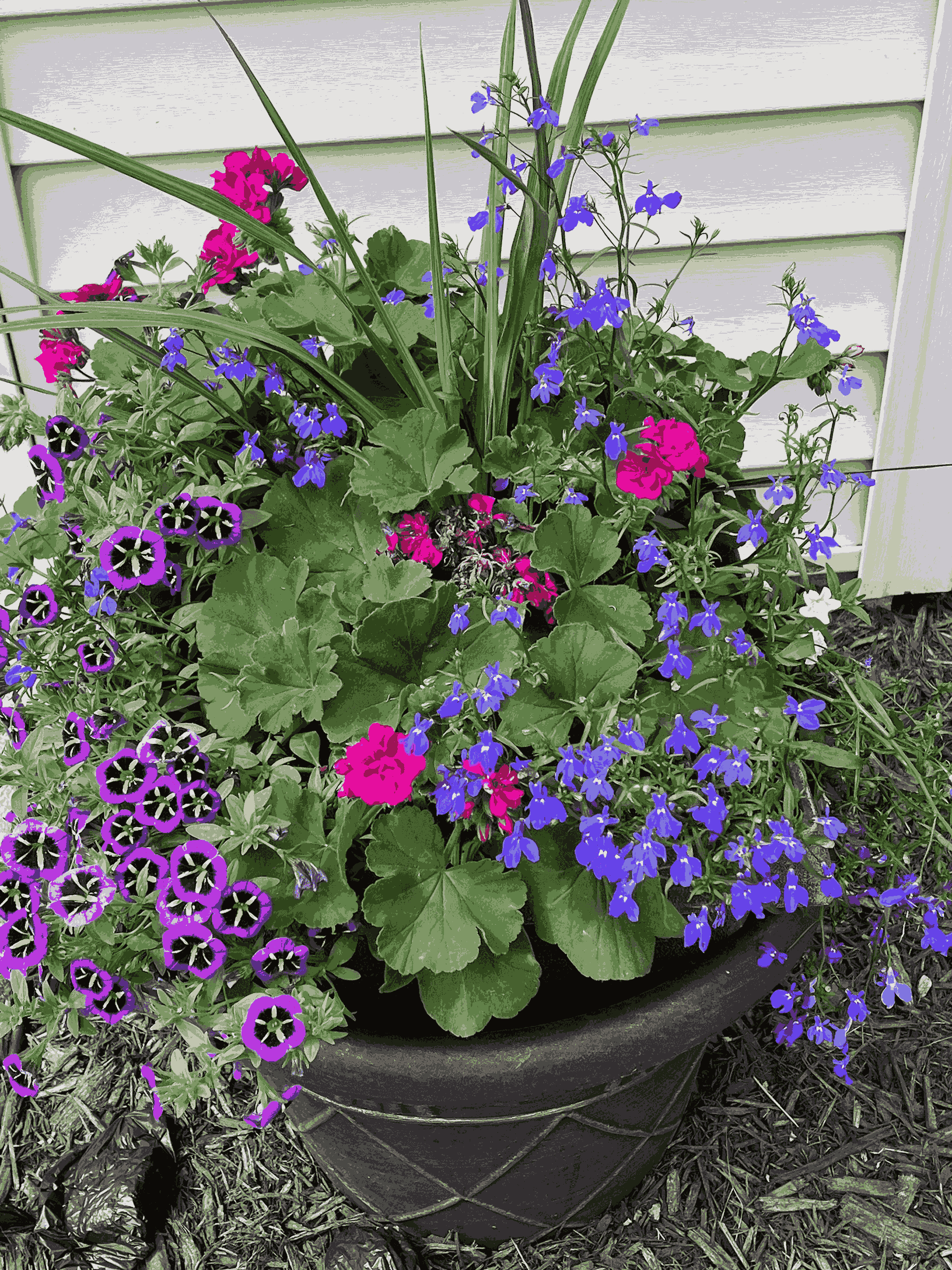 A decorative planter with a variety of brightly colored plants 